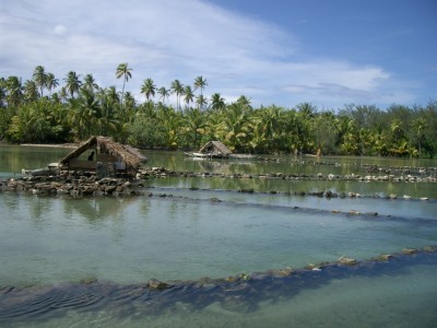 fishponds in Tahiti