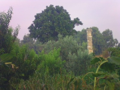 DIGITAL CAMERA