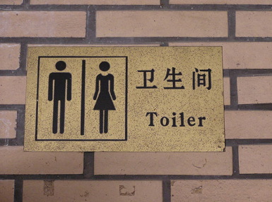Traveler diarrhea
