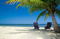 Secret Treasures in Clearwater, Florida caladesi palms