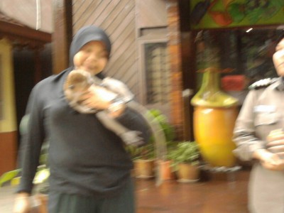Naughty Malaysian Monkey