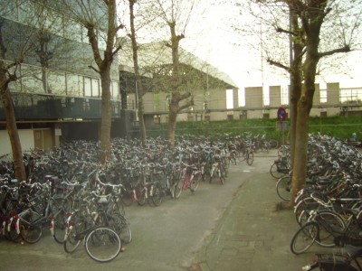 Rotterdam bicycles