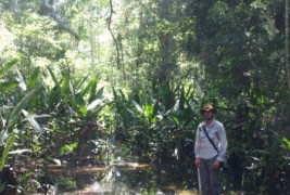Backwater Adventures in the Peruvian Amazon Part 1 Backwater Adventure in the Amazon