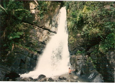 Rainforest waterfall in Puerto Rico