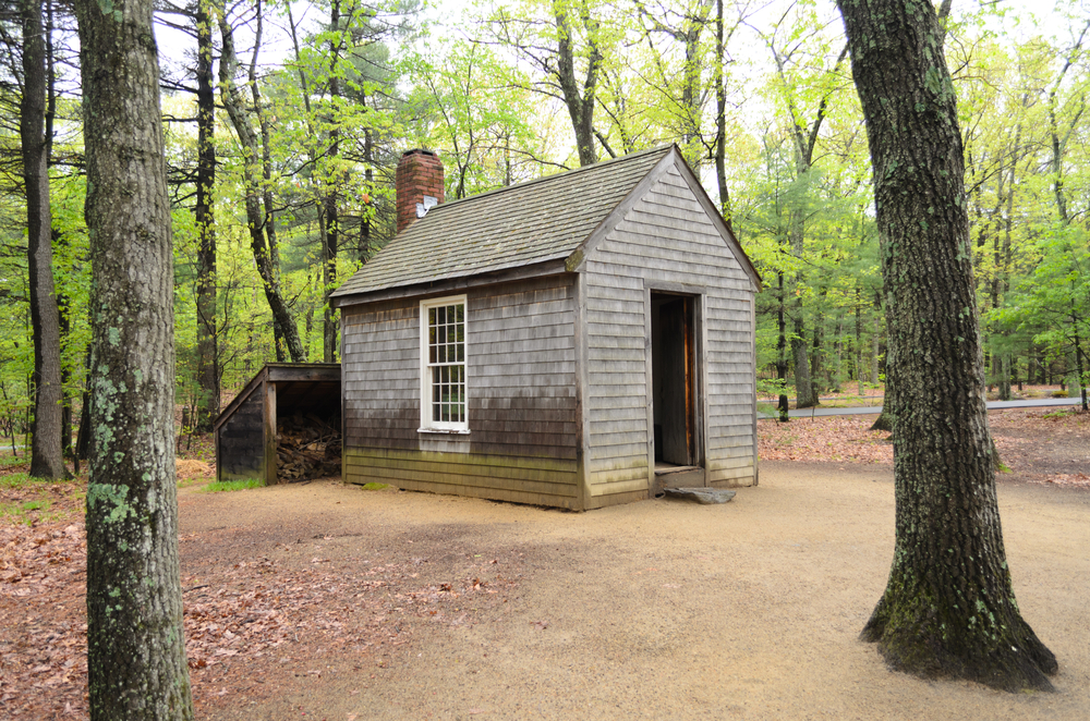 Walden Cabin