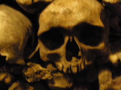 a skull in the Paris Catacombs