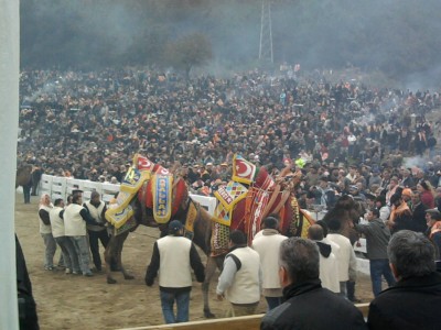 travel in Turkey