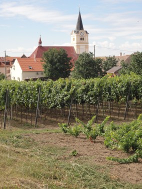 Czech Republic, wine travel