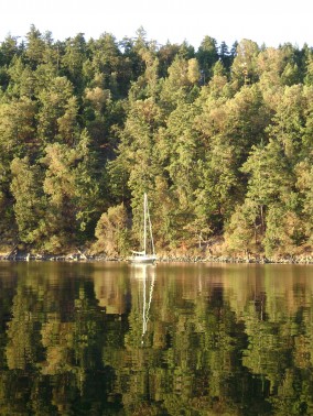Queen Charlotte Sound