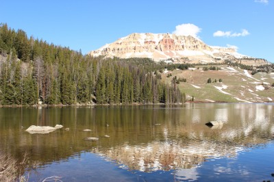 one of the most scenic roadways in America