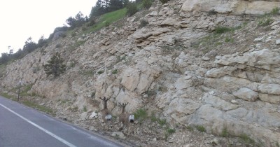 Bighorn National Forest