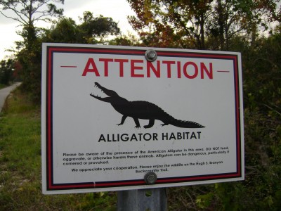 watch out for gators in Alabama