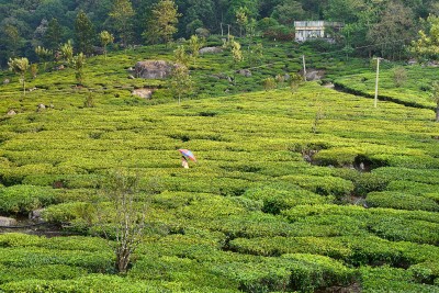 Kerala, India