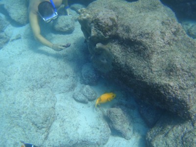 Scuba in the Galapagos