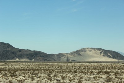 Mojave Desert