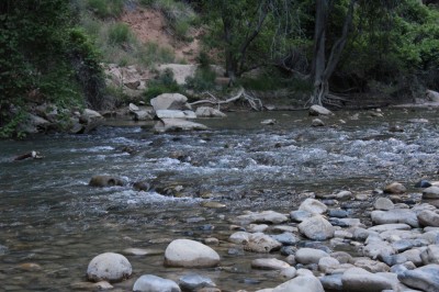 Stream in Zion