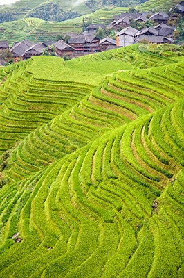 Ping An village, home to the Yao of Guilin rice terraces in Ping An, China
