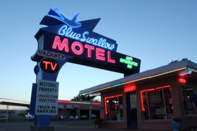 syncopated_blueswallow
