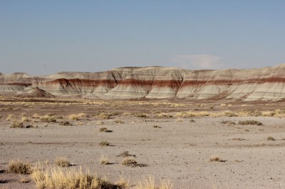 painted desert