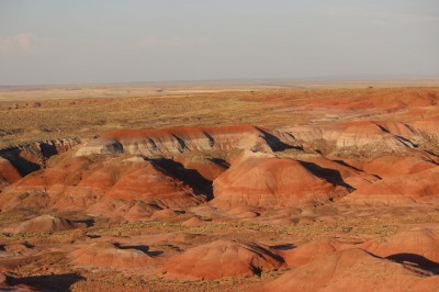 painted desert