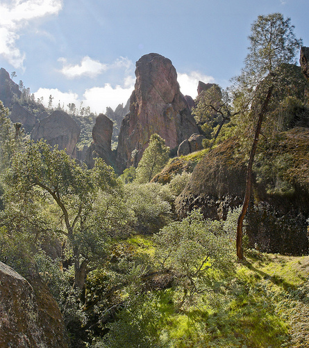 Pinnacle National Park in California