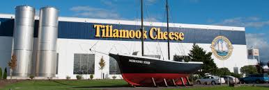 tillamookcheese