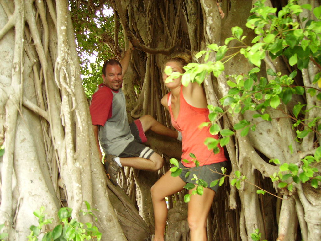 Banyan Trees Hiking Hawaii