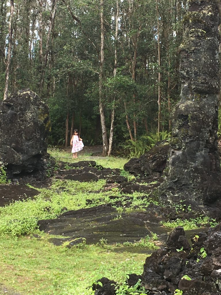 Big Island Hawaii