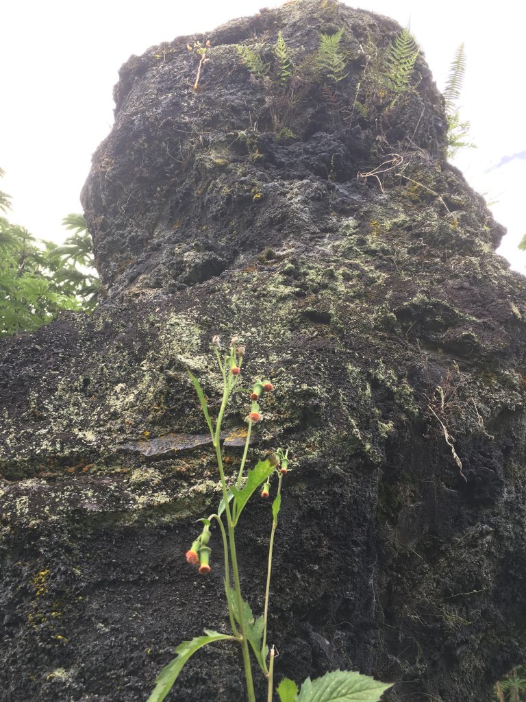 Big Island Hawaii