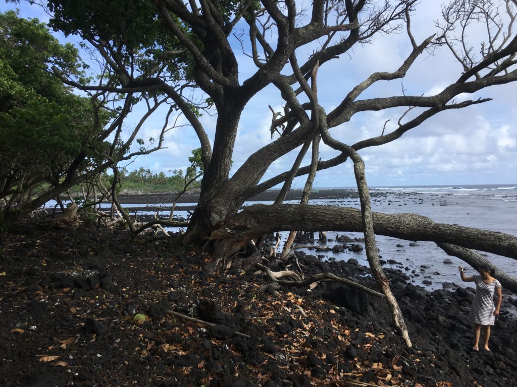 Big Island Hawaii