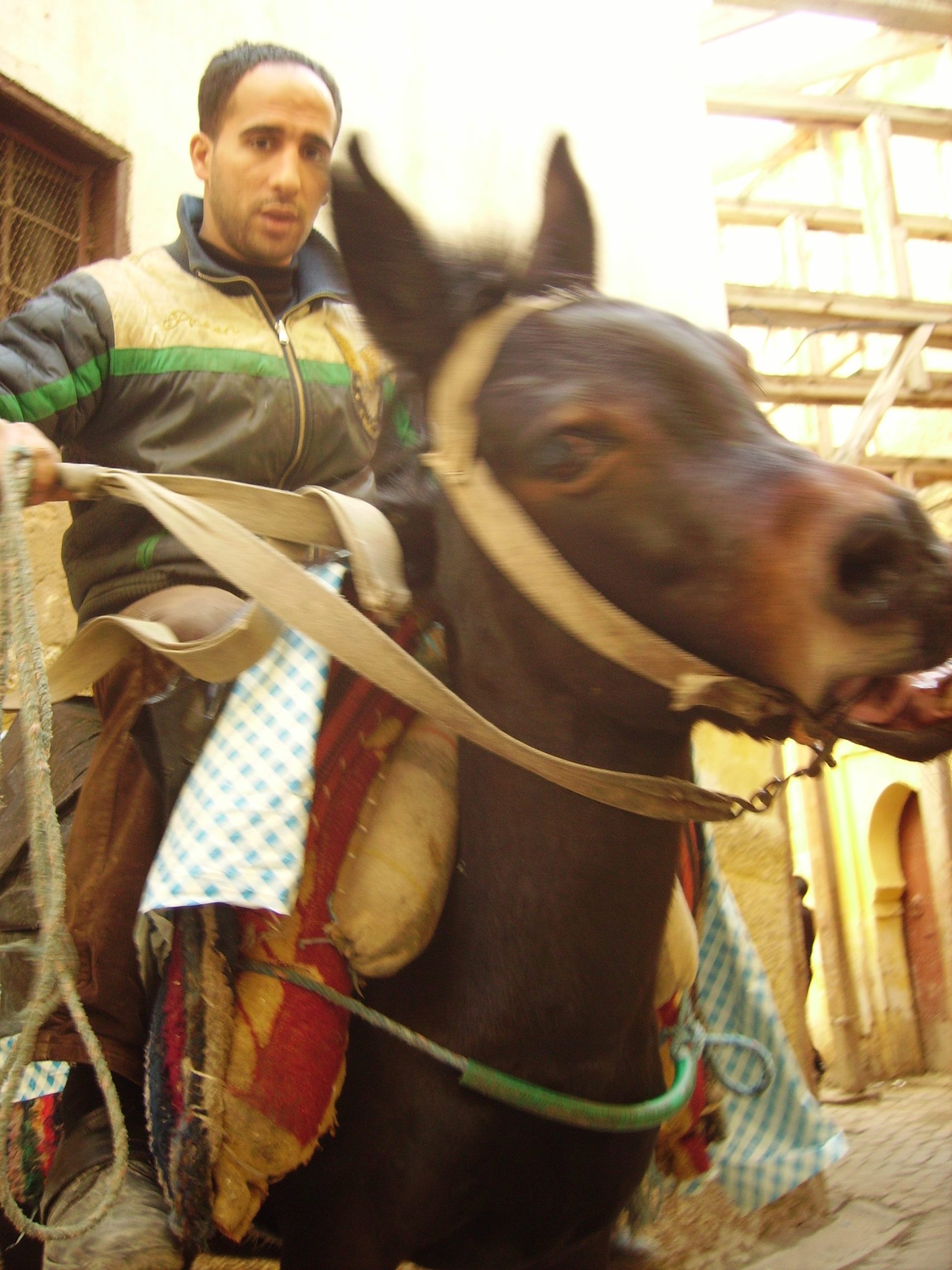 Fez Medina Fes Morocco