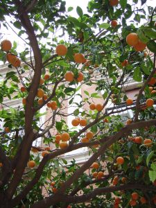 Valencia, Spain