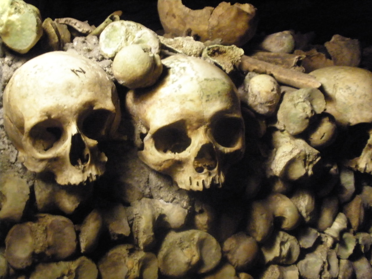 Paris Catacombs