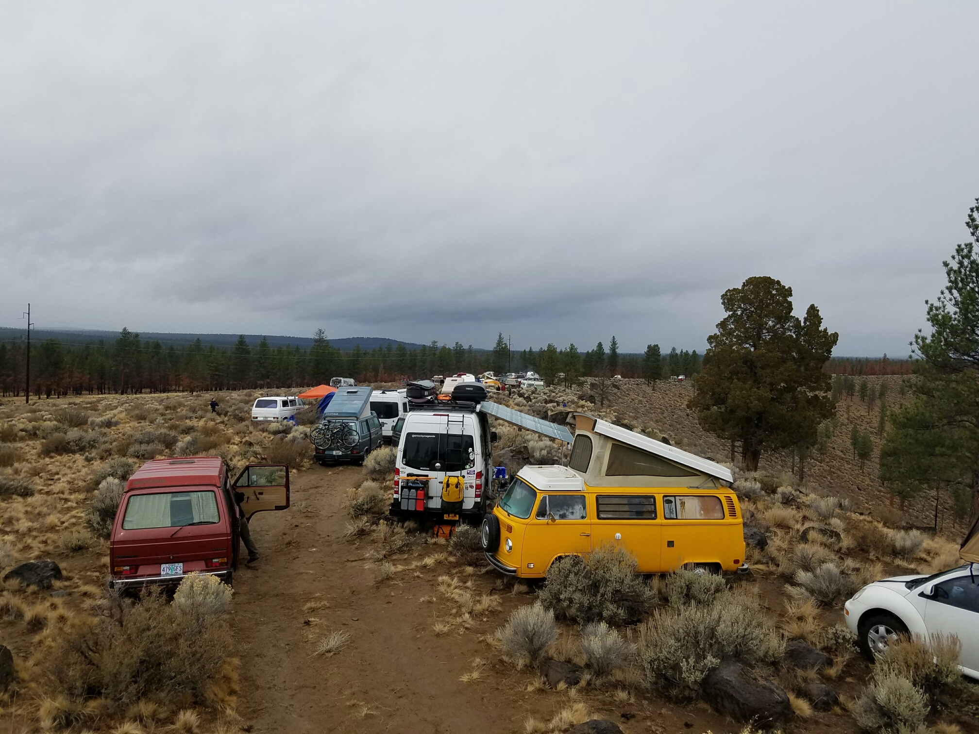 VW Van Party