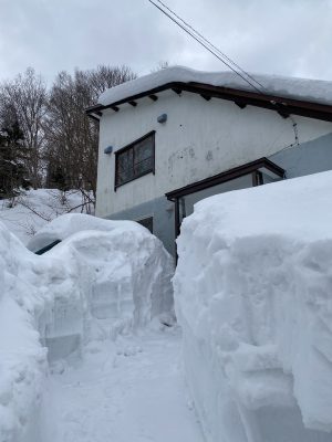 Satoshi Manor